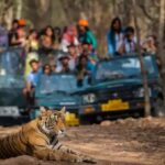 MANY ASPECTS OF WILDLIFE TOURISM WE ARE NOT TALKING ABOUT